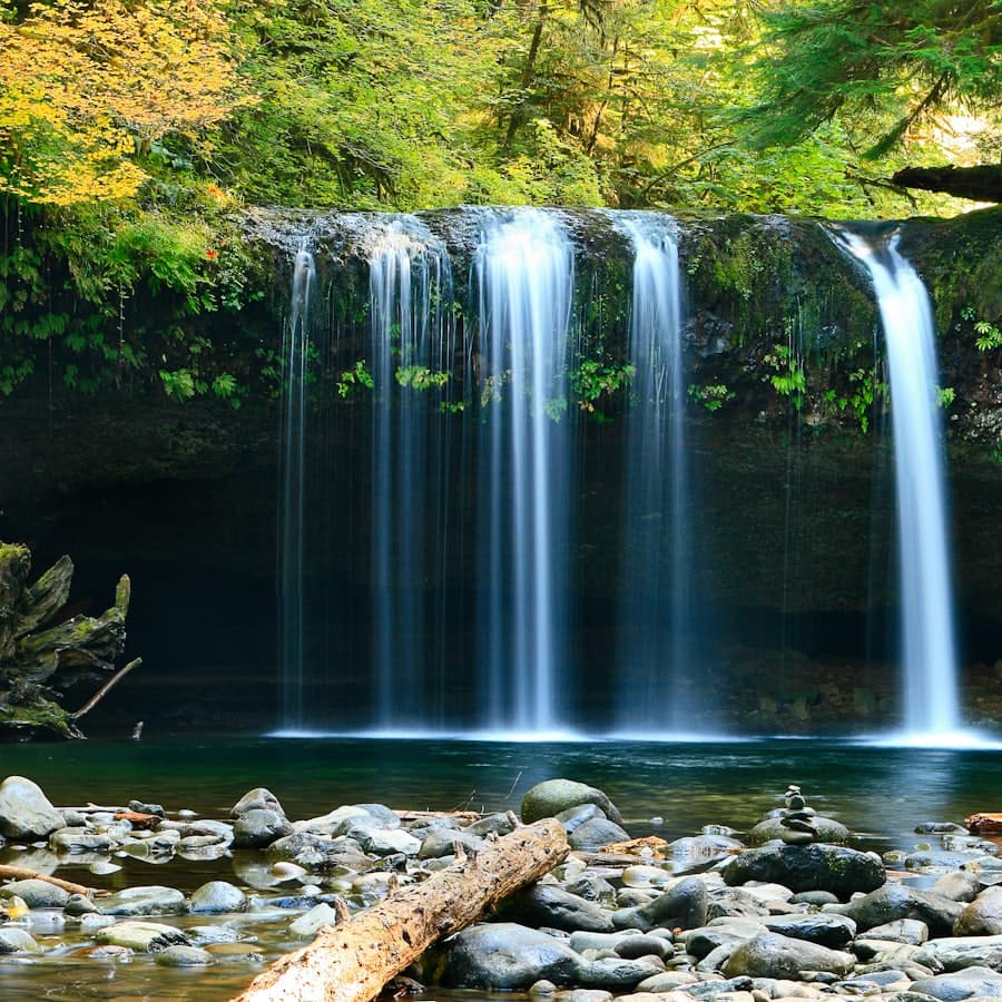 A gentle waterfall surrounded by green